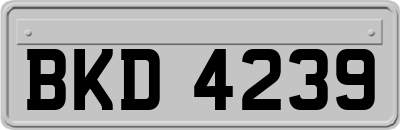 BKD4239