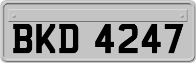 BKD4247