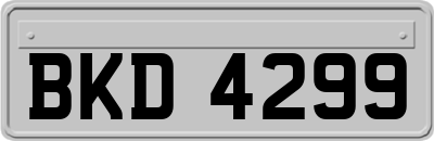BKD4299