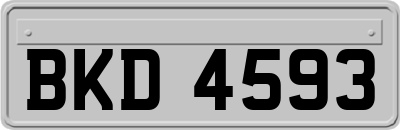 BKD4593