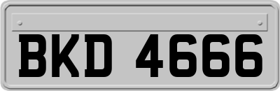 BKD4666