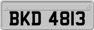 BKD4813
