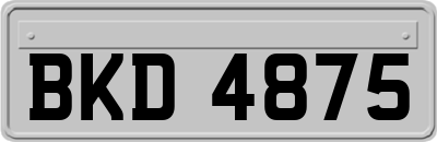 BKD4875