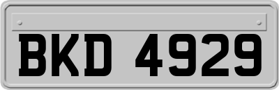 BKD4929
