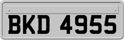 BKD4955