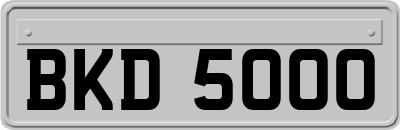 BKD5000