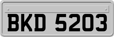 BKD5203