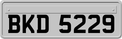 BKD5229