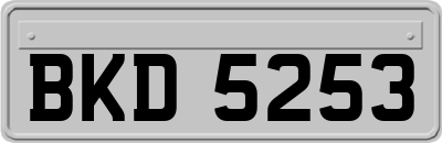 BKD5253