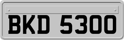 BKD5300