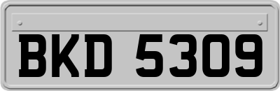 BKD5309