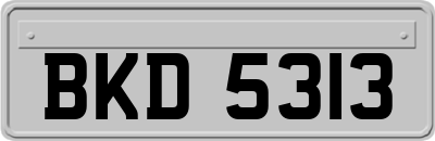 BKD5313