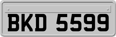 BKD5599