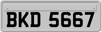 BKD5667