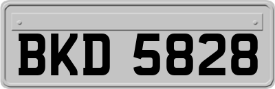 BKD5828