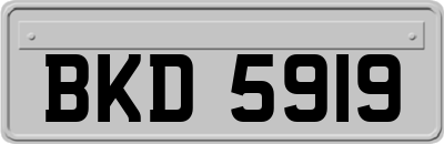 BKD5919