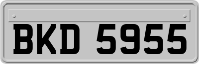 BKD5955