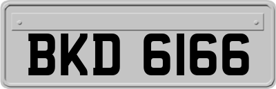 BKD6166