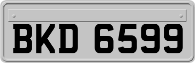 BKD6599