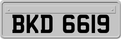 BKD6619