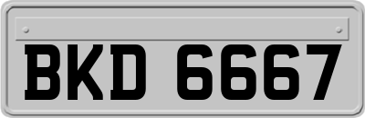 BKD6667