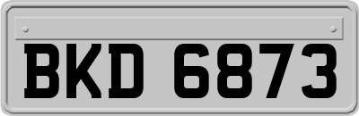 BKD6873