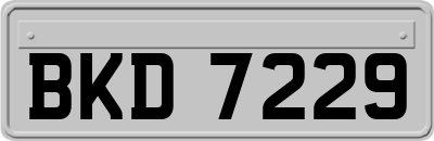 BKD7229