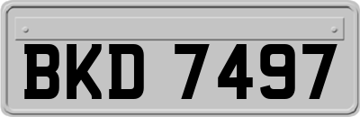 BKD7497