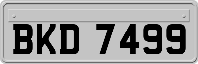BKD7499
