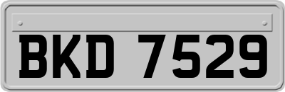 BKD7529
