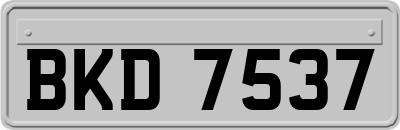 BKD7537