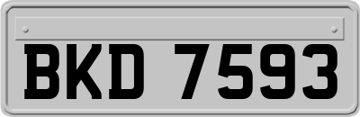 BKD7593