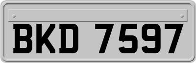 BKD7597