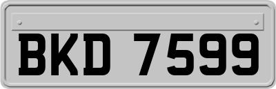 BKD7599