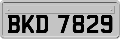BKD7829