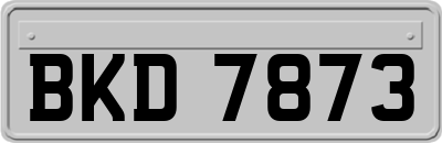 BKD7873