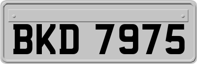 BKD7975