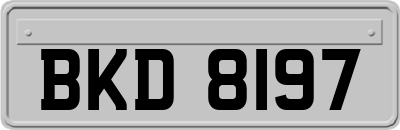 BKD8197