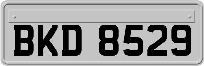 BKD8529
