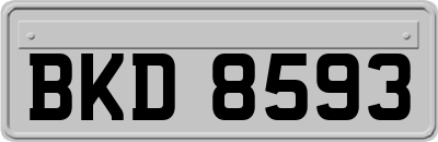 BKD8593