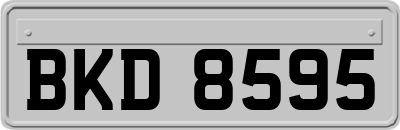 BKD8595