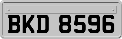 BKD8596