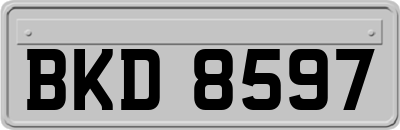 BKD8597