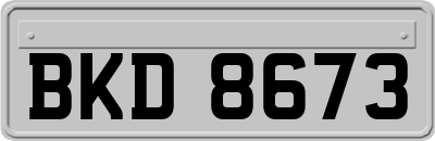 BKD8673