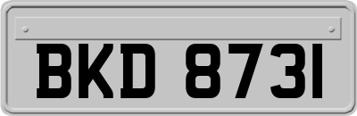 BKD8731