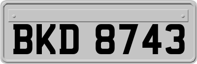 BKD8743