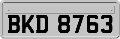 BKD8763
