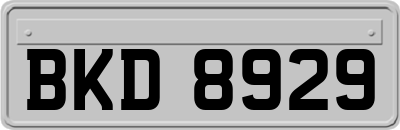 BKD8929