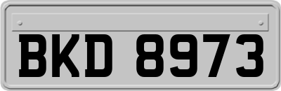 BKD8973