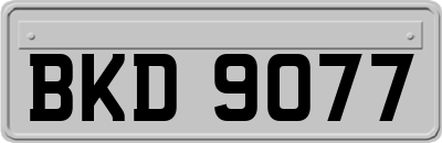 BKD9077